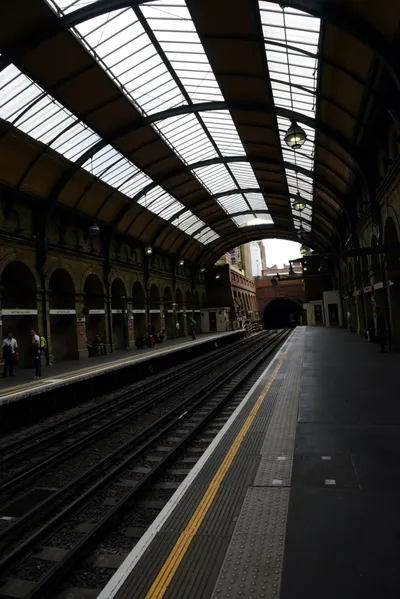 DSC_2730 (Large).JPG